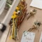 Flash Furniture Peyton 18x24 Shadow Box Display Case with Linen Liner, 8 Push Pins and Solid Pine Wood Frame in Whitewash HMHD-23M012YBN-WHTWSH-1824-GG - alternate 8